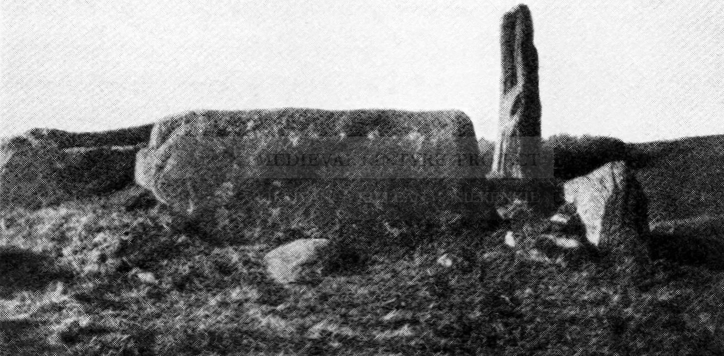 Fig 9. Group of Stones at Brackley, Carradale, from the south.
